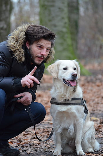 A man interacts with a Golden Retriever dog in a vibrant, autumn forest setting. HD phone wallpaper