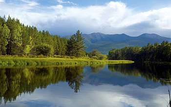 Nature, Trees, Lake, Reflection, Shore, Bank, Forest, Siberia HD wallpaper
