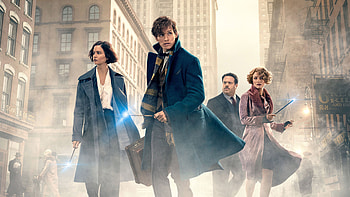 Fantastic Beasts, Movie , Find Them, Magical creatures HD wallpaper