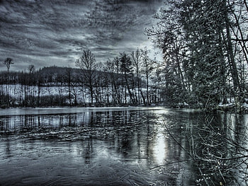 winter pond, winter, pond HD wallpaper