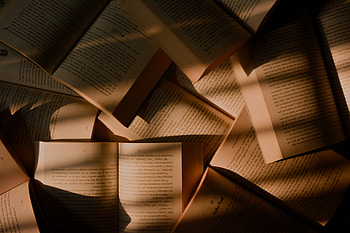Sunlit Man-Made Pages — Bookscape, man made, book HD wallpaper