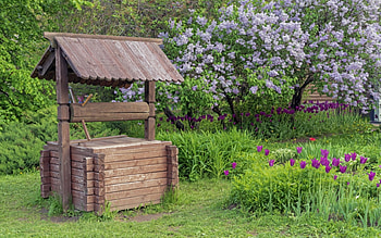 Well in Garden, wooden, garden, lilacs, grass, tulips, well HD wallpaper