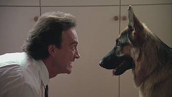 Chili the K-9, Drug-sniffing dog, Retro film nostalgia, Cold-nosed detective HD wallpaper