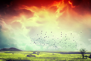 Dreamy Landscape !, landscape, clouds, grass, dreamy HD wallpaper