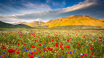 Castelluccio, Umbria, Italy, mountain, nature, landscape HD wallpaper
