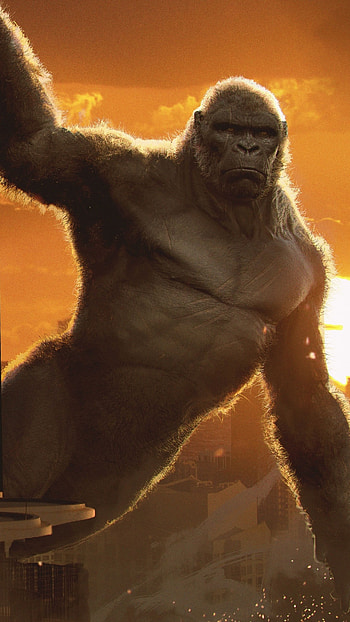 King Kong vs Godzilla, Monumental clash, Stunning , Legendary HD phone wallpaper