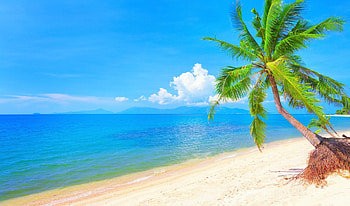 Tropical Beach and Turquoise Sea, Palms, Sand, Sea, Nature, Oceans, Beaches HD wallpaper