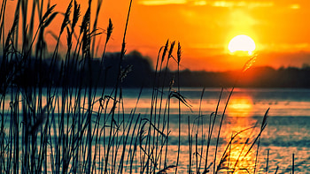 Crops Sunset Lake, nature, lake, sunset, fields HD wallpaper