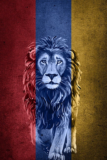 Armenia,lion, armenianflag, flag, yerevan, armenia, lion HD phone wallpaper