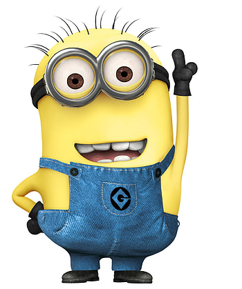 Minion meme HD phone wallpaper