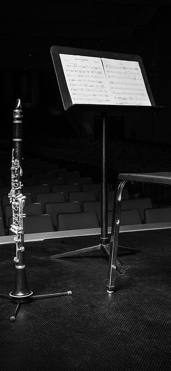 Clarinet , and options, collection HD phone wallpaper