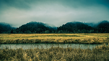 Beautiful Nature Mountains Fog Trees, nature, mountains, fog, trees HD wallpaper