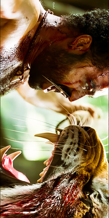 RRR, Tarak, jr NTR, beauty, tiger, ntr HD phone wallpaper