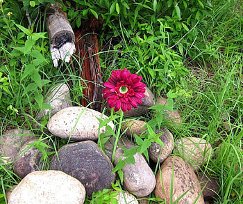 Flowers, Grass, Stones, Flower, Greens, Loneliness HD wallpaper