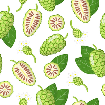 Noni Fruit, Vector art, Exotic fruits, Morinda citrifolia HD phone wallpaper