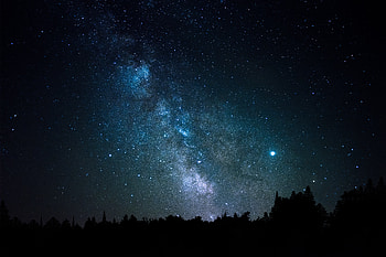 Trees, Universe, Stars, Constellation HD wallpaper