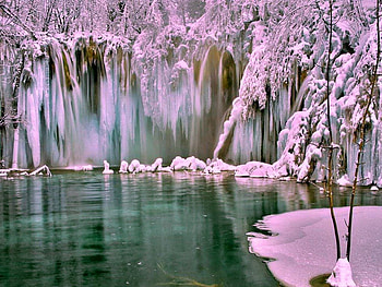 Icy lakeshore, winter, snow, cold, lake, ice HD wallpaper