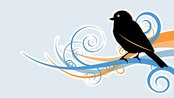 Vector, Bird, Beak, Branch HD wallpaper