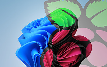 WOR Project: Bill Gates' Raspberry Tree: Windows 11 Light, technology, Windows 11 HD wallpaper