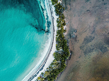 Nature, Sea, Bush, View From Above, Coast HD wallpaper