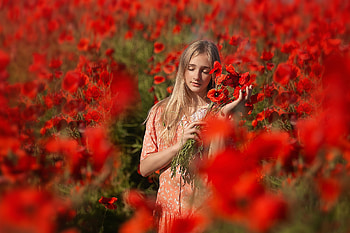 ღ, Flowers, Field, Blonde, Girl HD wallpaper