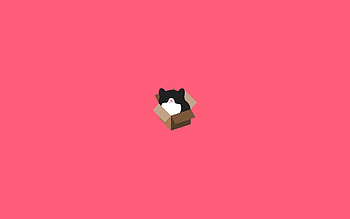 Minimalism, Cat, , Drawing, Box HD wallpaper