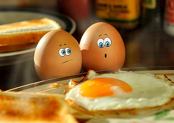 Egg, raw egg, raw, food HD wallpaper