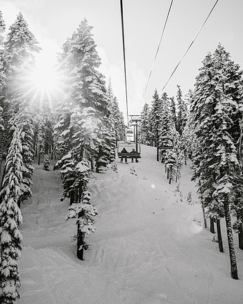 People, Winter, Nature, Trees, Snow, Slope, Cable Car, Cableway HD phone wallpaper
