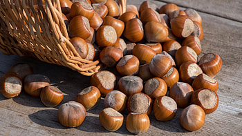 Nuts collection, Nutty delights, Gourmet food, Delicious and natural HD wallpaper