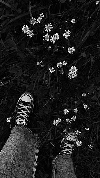 Black flowers, footwear, white HD phone wallpaper