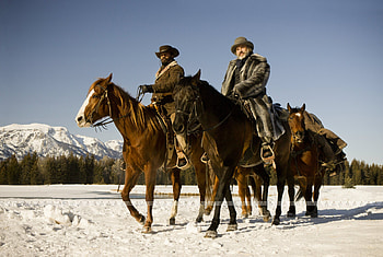 Django Unchained, posted by Ryan Walker HD wallpaper