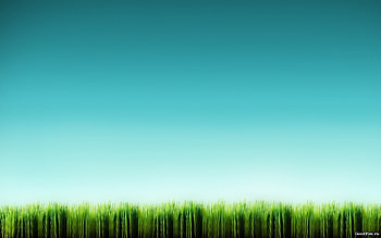 Background, Grass HD wallpaper