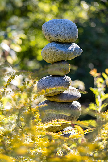 Nature, Grass, Stones, Balance, Harmony HD phone wallpaper