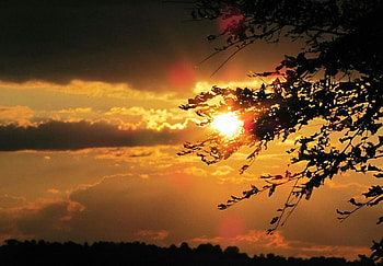 Sunset Through the Trees, clouds, sky, nature, sunset HD wallpaper