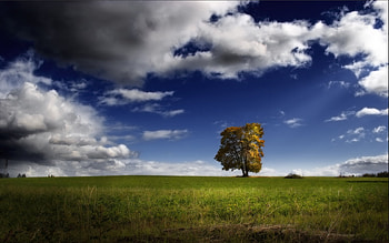 Landscape, Trees, Sky, Clouds HD wallpaper