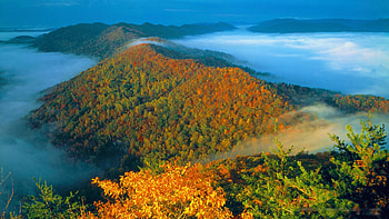 Cumberland Gap National Historical Park, Kentucky, mist, morning, fall, autumn, colors, landscape, trees, usa HD wallpaper