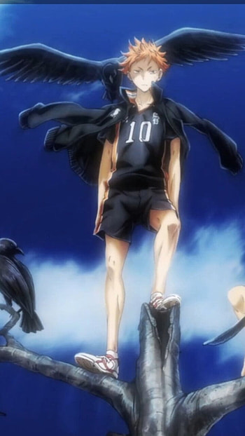 Shoyo hinata, haikyuu, art, hinata, crows, anime HD phone wallpaper