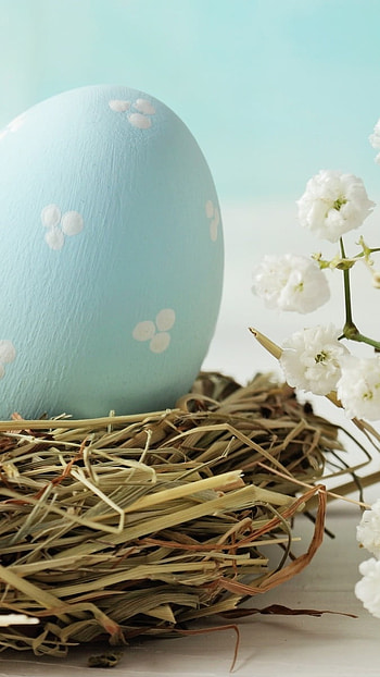 Easter, Blue Eggs HD phone wallpaper