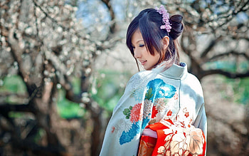 Japanese kimono, Traditional attire, Cultural heritage, Fashion statement HD wallpaper