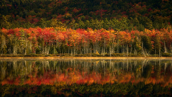 Fall Reflections in Acadia National Park, fall, autumn, trees, colors, forest, water, reflections, usa HD wallpaper