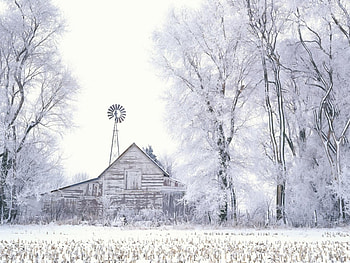 Frosted farmlands, winter, farma, frost, season, snow, tree HD wallpaper