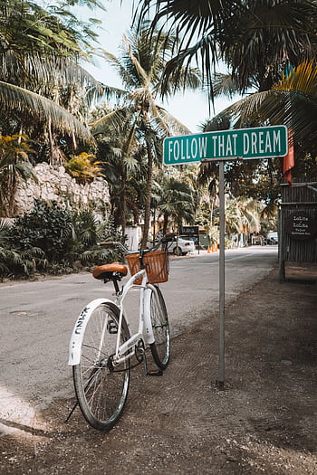 A bicycle near an inspirational sign 'Follow That Dream' in Tulum, Mexico with palm trees around. HD phone wallpaper