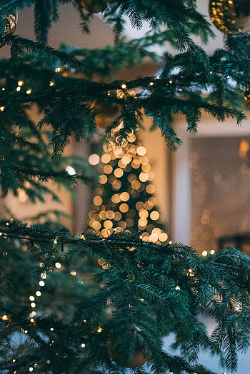 Holidays, New Year, Glare, Christmas, Branch, Fir, Spruce, Christmas Tree, Bokeh, Boquet HD phone wallpaper