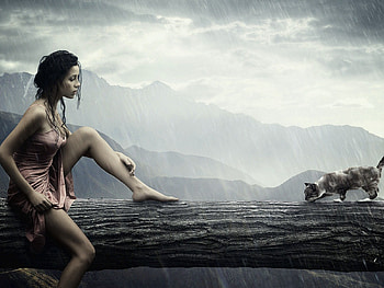 The Woman, fantasy, art, sky, cat, woman, beauty, legs, tree HD wallpaper