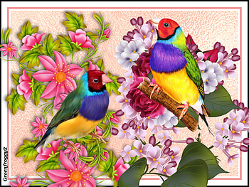 BIRD COLLAGE, ART, COLLAGE, ABSTRACT, BIRD HD wallpaper