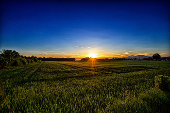 Nature, Sunset, Grass, Austria, Carinthia HD wallpaper