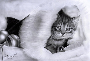 Christmas_Kitty, animal, kitty, christmas, cat, hat HD wallpaper