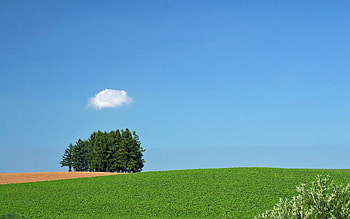 Nature, Trees, Summer, Field, Cloud HD wallpaper