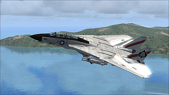 Fsx F-14 Tomcat Vf-41 thumb HD wallpaper