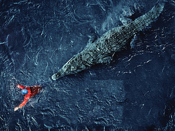 Black Water Abyss, black-water-abyss, movies, 2020-movies HD wallpaper